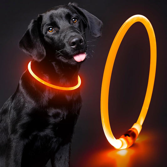 Lighted Waterproof Dog Collar